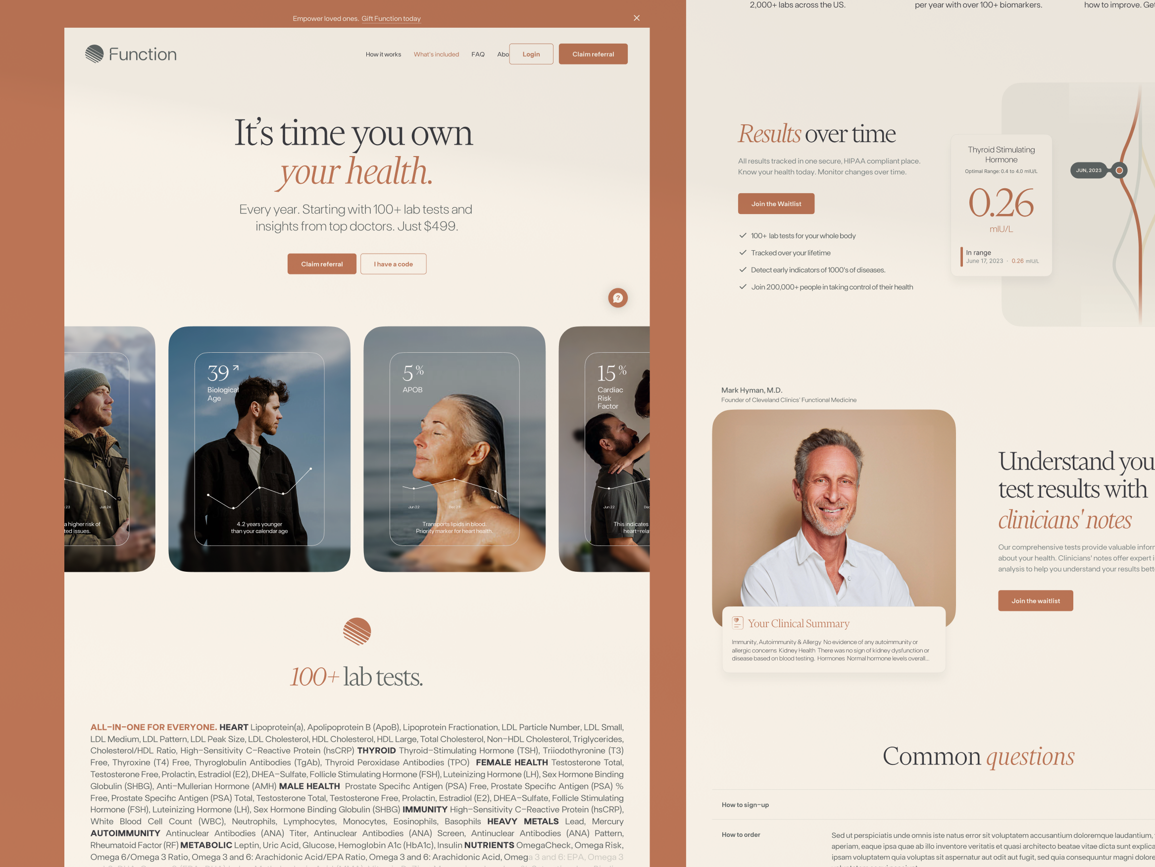 Example of Art Direction   Brand Identity 