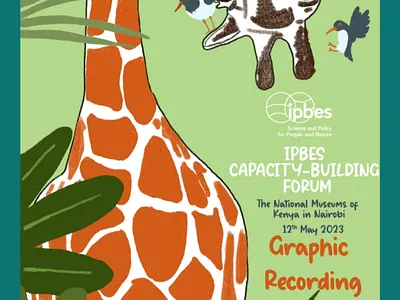 Graphic Recording - IPBES Capacity Building Forums 2023 digital art digital art illustration graphic design graphic recording illustration