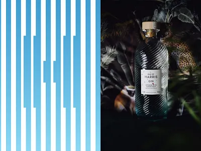 Harris Gin blue bottle branding design font gin gradient graphic design harris illustration letter lines logo packaging scotland type