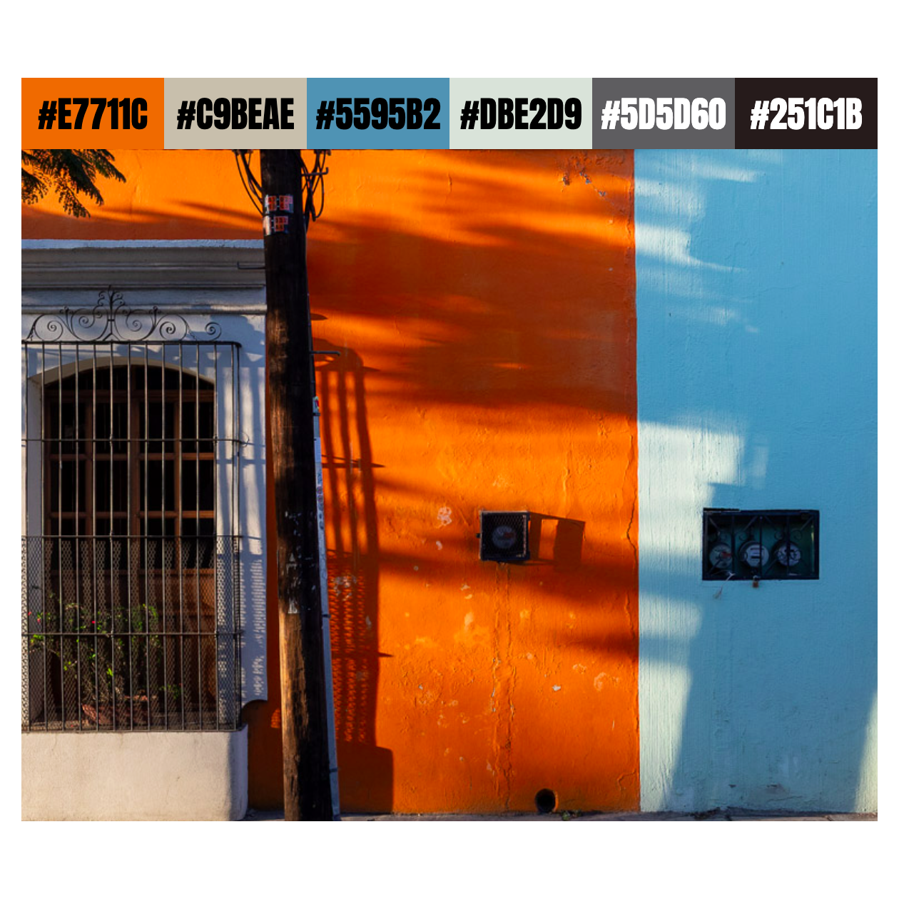 Seis Colores Photo Palette 3 / 145 color palette colors photo ui