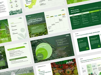 Pitch Deck for an Agro Company african company pitch deck brand identity brand profile company portfolio company profile design illustration pitch deck presentation design