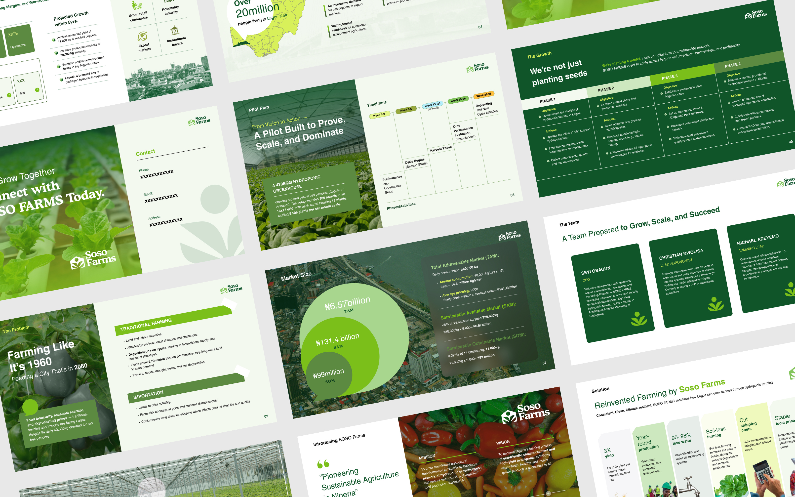 Example of Pro Pitch Deck Presentation Design