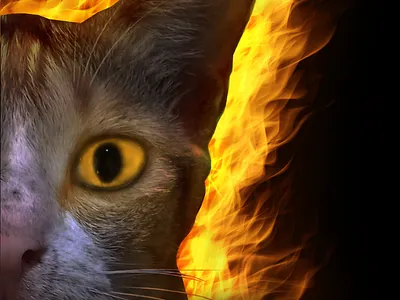 My Cat Epic Poster branding graphic design