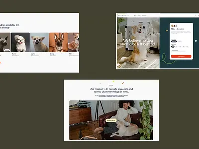 DreamHomeRescue - Animal Adoption Website adoption adoption website animal charity charity charity website clean clean website design donation donation website social impact ui ui design uiux uiux design ux web web design website website design