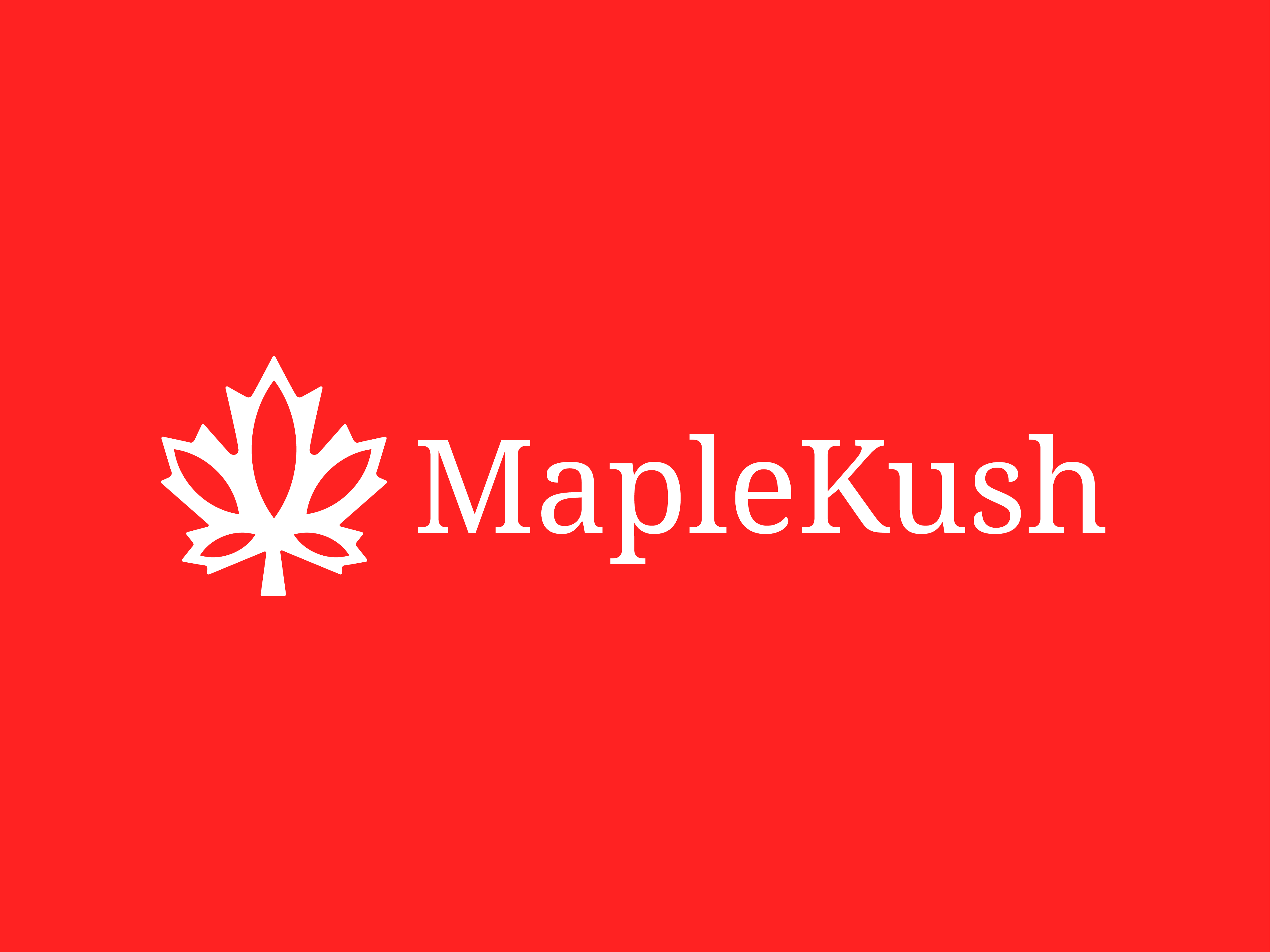 maplekush canada cannabis cannabis brand cannabis logo care health kush leaf leaf logo logo maple maple logo medical oil