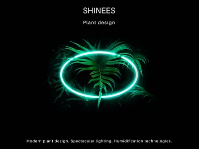 Shinees - Graphic Design 3d brand branding creative design graphic graphic design illustration light lightpainting lights logo plant ui ux vector