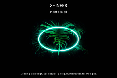 Shinees - Graphic Design 3d brand branding creative design graphic graphic design illustration light lightpainting lights logo plant ui ux vector