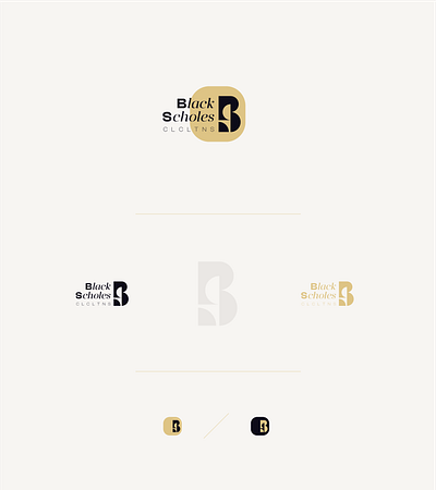BlackScholes calculations branding finance logo logo