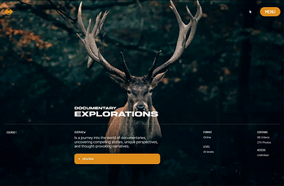 Documentary Website branding design figma graphic design ui ux website