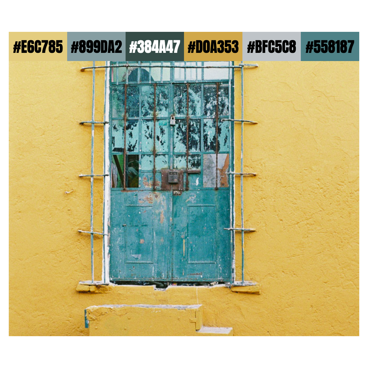 Seis Colores Photo Palette 20 / 145 art color color palette color theory mexico photography