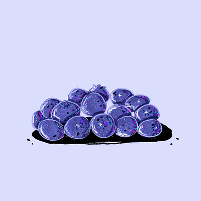 blueberries art food illustration illustration procreate