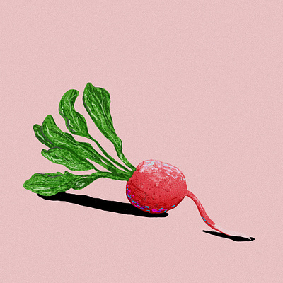 radish art food illustration illustration procreate