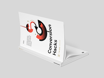 Marketing Conversion Hacks eBook Cover book cover design design digital art ebook ecommerce graphic design illustration vector