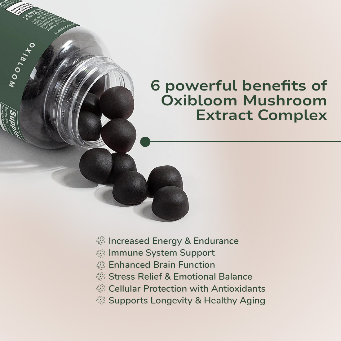 Oxibloom Ad-Creatives. branding graphic design