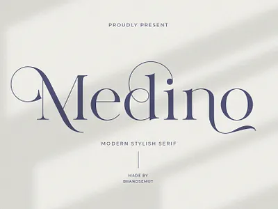 Medino // Modern Stylish Serif calligraphy display font font free lettering ligature logotype modern modern font modern serif retro retro font serif serif font typeface typography