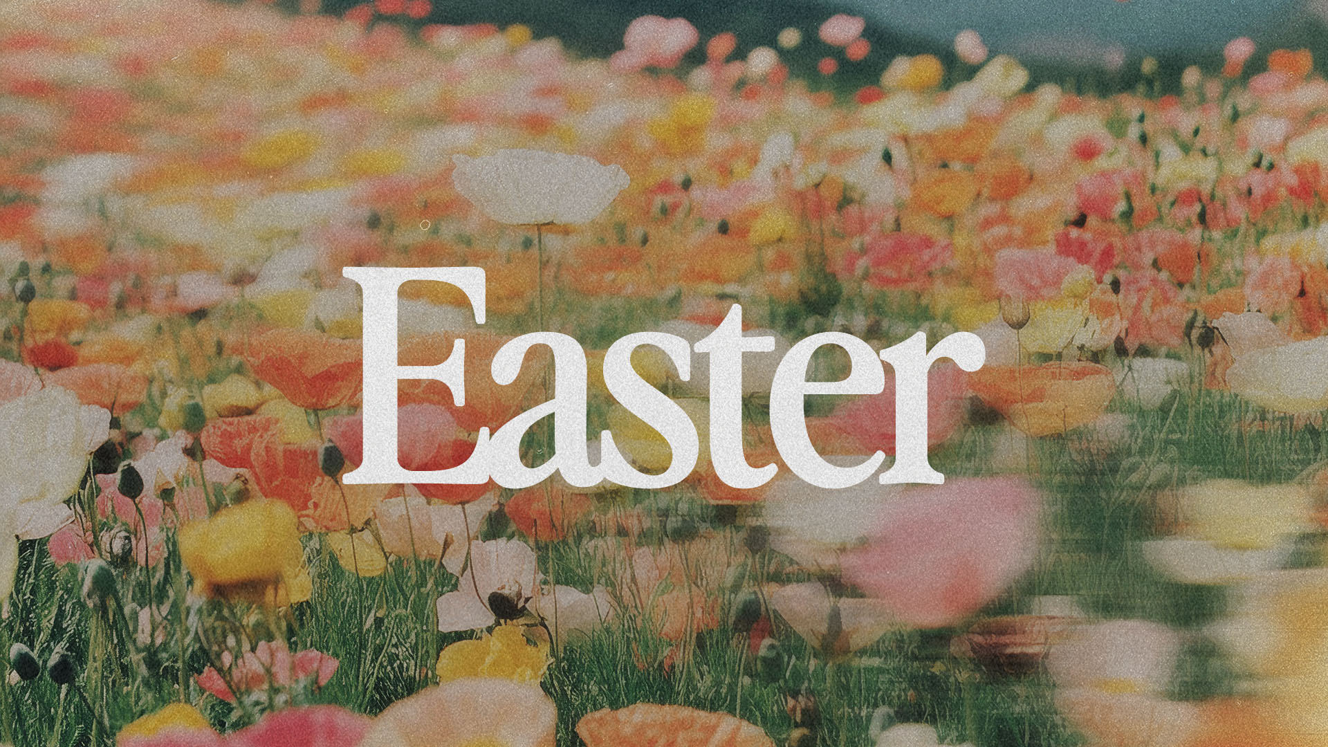 Easter Sermon Graphics christian christianity easter sermon sermon series