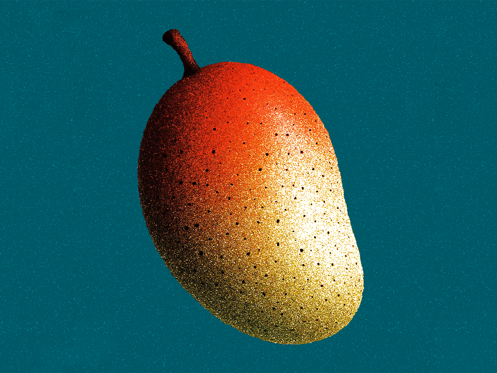 Mango bold fruit illustration mango texture
