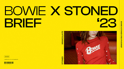 BOWIE X STONED CREATIVE BRIEF branding graphic design motion graphics typography y