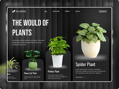 Hero Section UI/UX Design by Expert Squad applandingpage creativelandingpage hero section hero section concept hero section design hero sections landingpageuiux marketinglandingpage mobile hero section mobileappdesign moderndesign modernlandingpage plants landing page productlandingpage responsivedesign saaslandingpage uidesign uiuxdesign uxdesign websitelandingpage