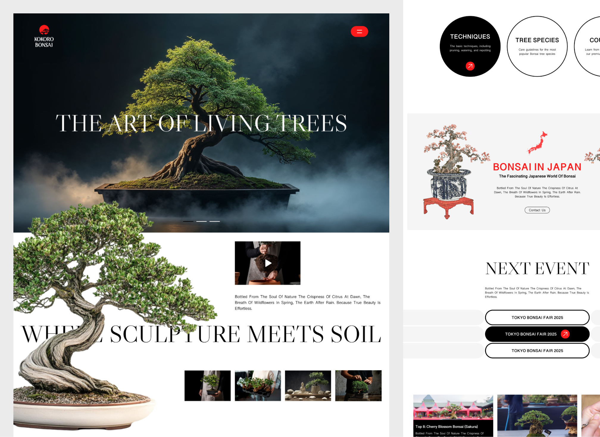 Kokoro Bonsai - Landing Page aesthetic art bonsai figma hobby japan landing page luxury minimal nature simple tree uiux web design white