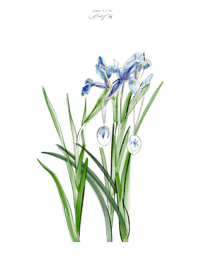 Irises
