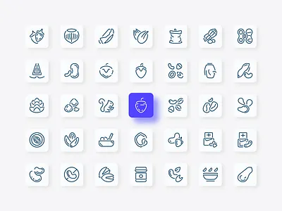 Nut And Bean Icon Set branding brazil nut chia seed design desktop grains graphic design logo modern nut and bean nutshell organic pecan soya beans ui ux vegan