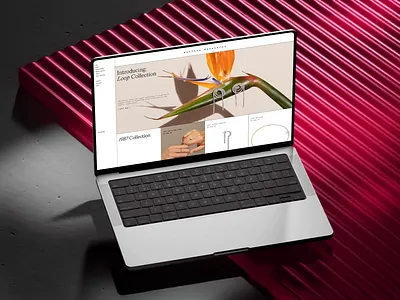 Delfina Delettrez - E-commerce Store Redesign jewelry online store jewelry website shopify website design