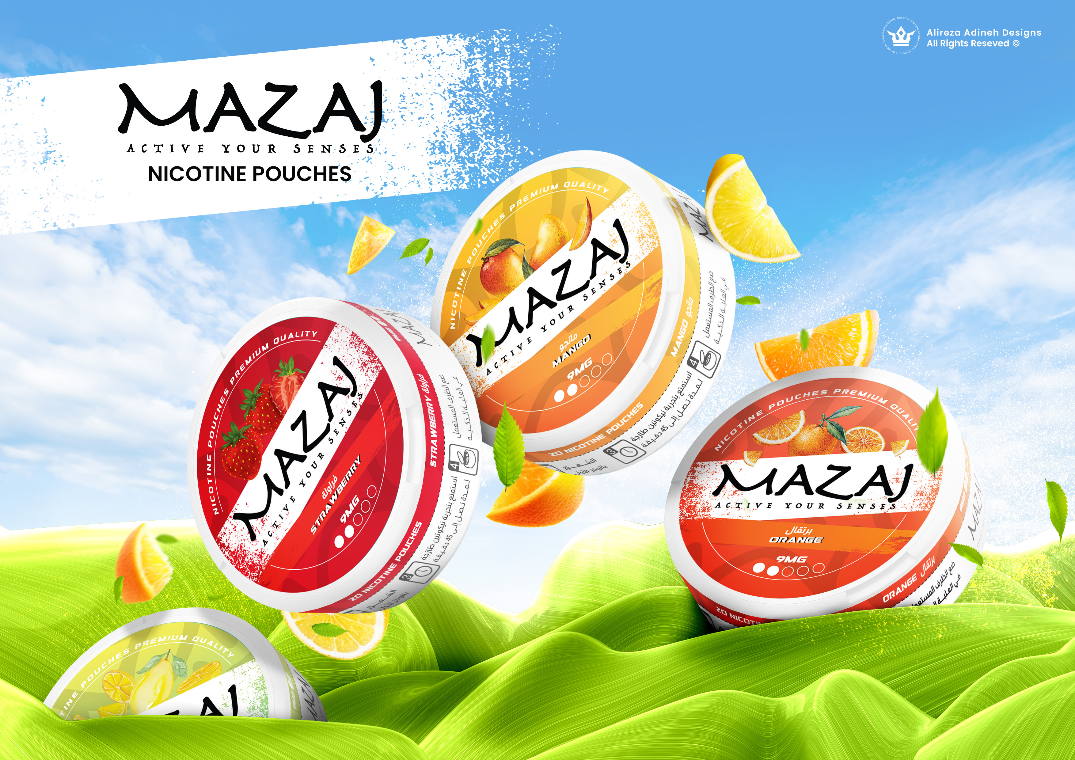 Example of Nicotine Pouches Packaging &Label Design