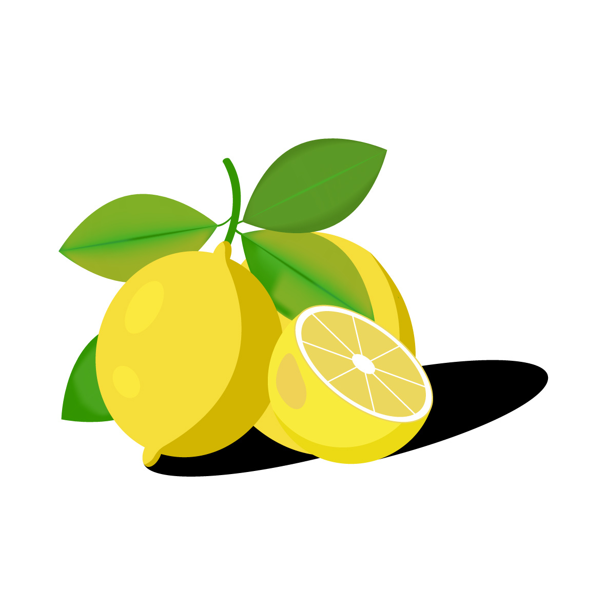 Example of Illustrations