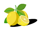 Example of Shot