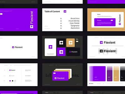 Flexient - next-generation IoT | Brand Guidelines brand brand guidelines branding