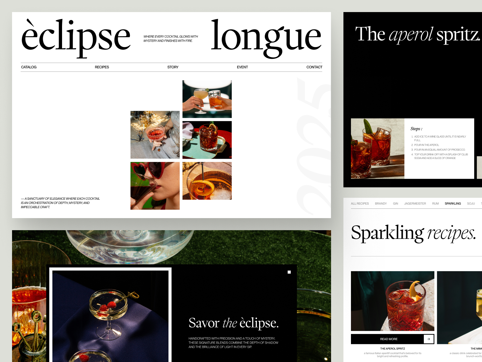 Example of Web Design ( Home Page + 2 Inner Page)