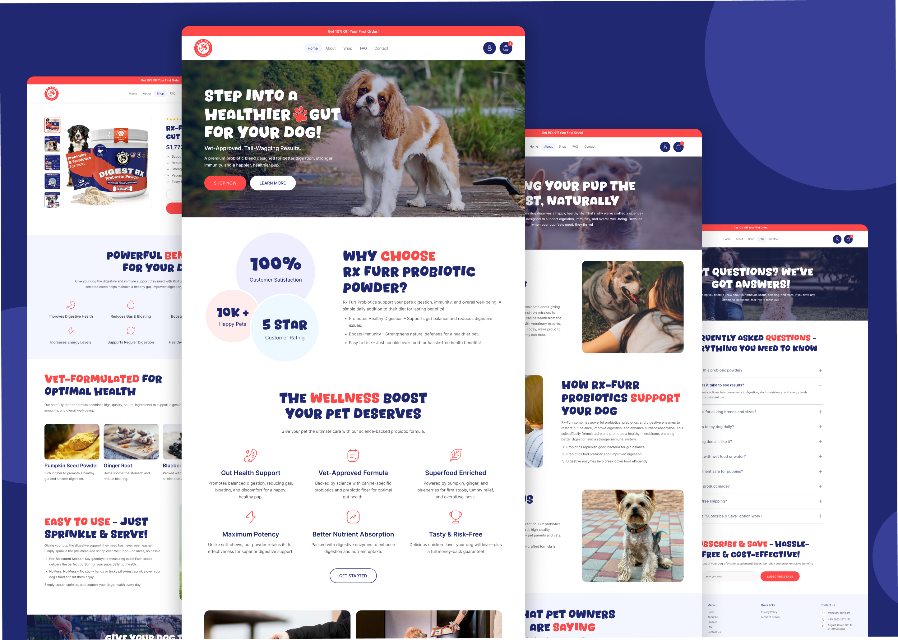 Example of Custom Shopify Website Design