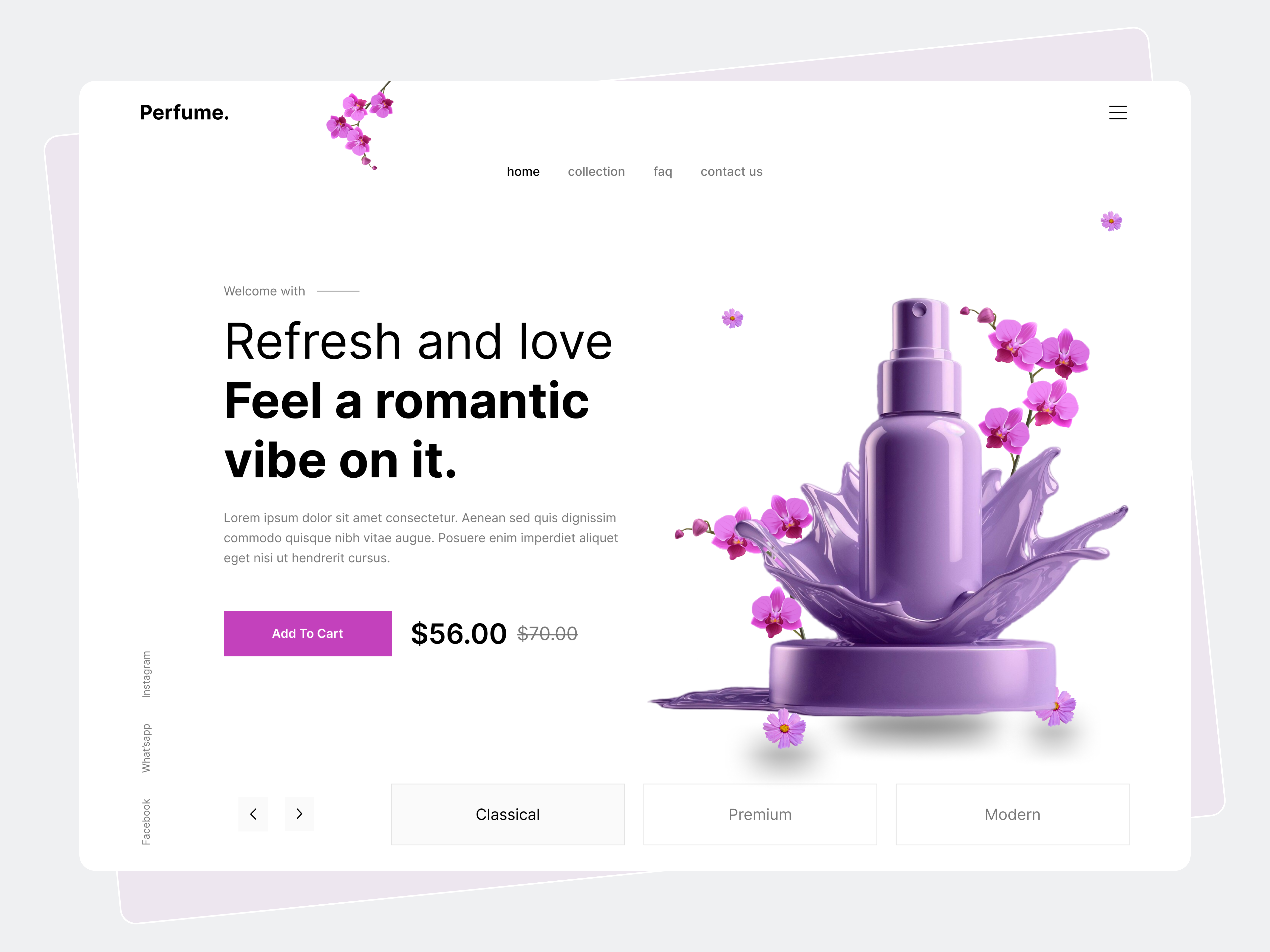 Example of Professonal Website Design