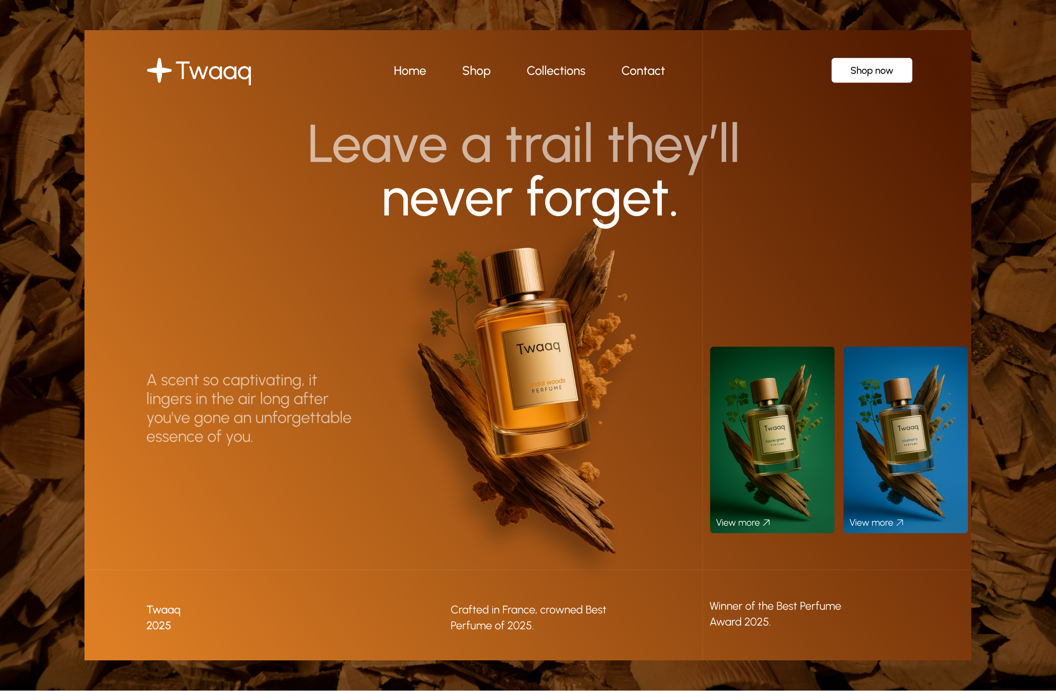 Example of Creative UI/UX Design For Saas & Mvp🖌️