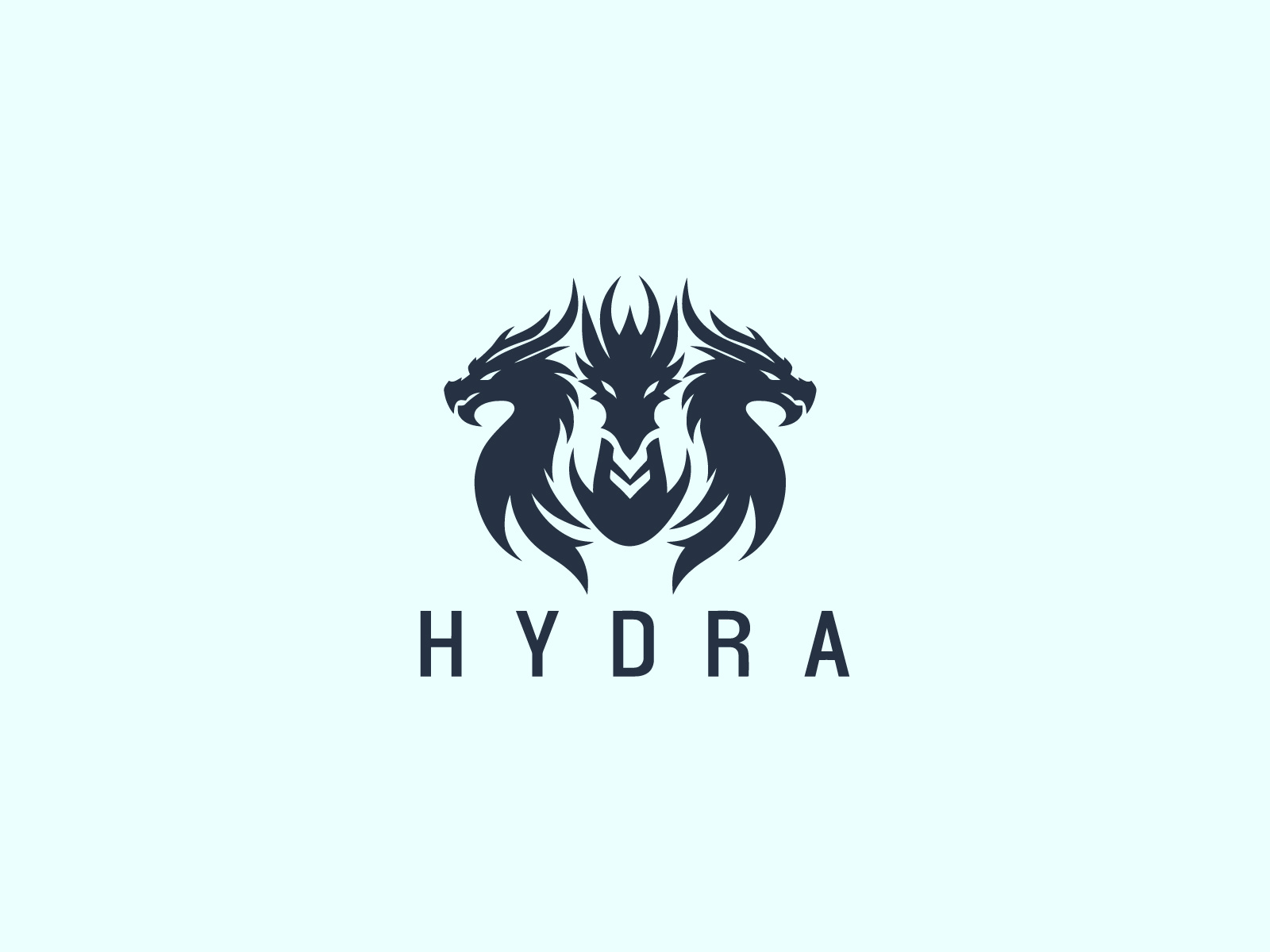 Example of We Will Create Custom Hydra Logo