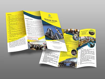 3 Fold Brochure for Campus branding brochure design flyer identity typography vector