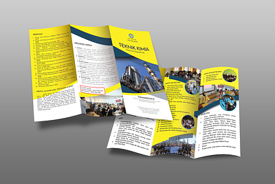 3 Fold Brochure for Campus branding brochure design flyer identity typography vector