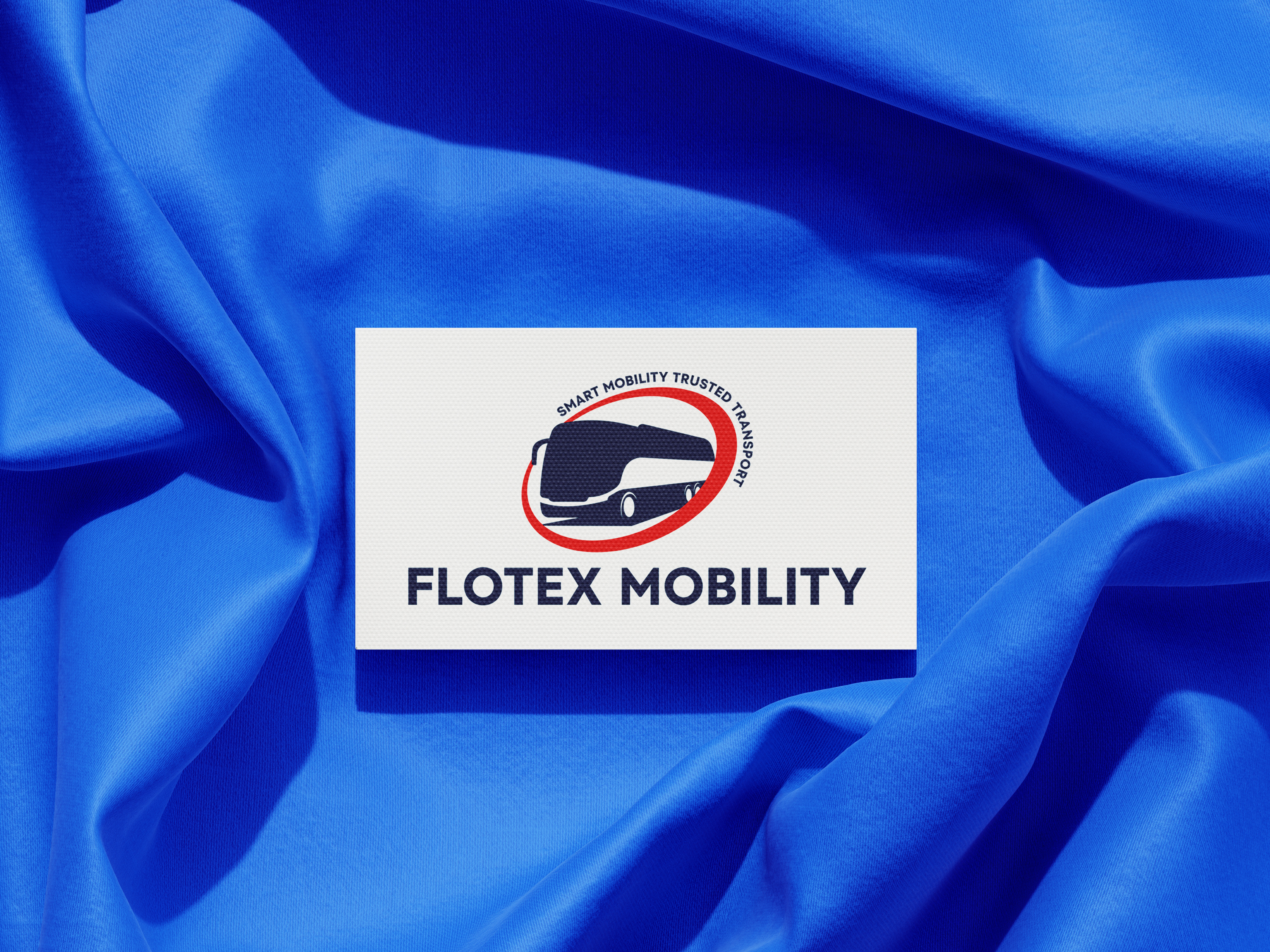 Example of The Standard Logo Design Package