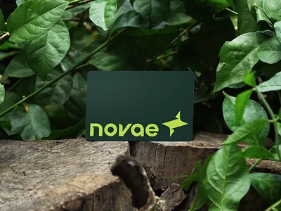 Novae Visual Identity branding design graphic design logo logodesign solar panel visual identity