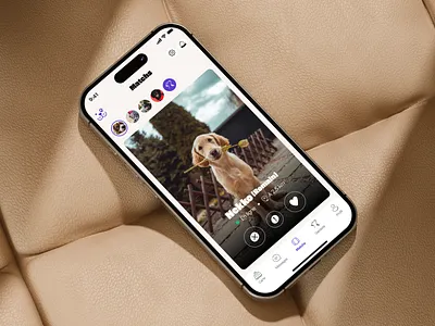 Dog sitting mobile app app dog dogsitting match mobile pet pets purple red tinder violet wlak yellow