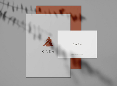 Visual identity kit brand identity brand kit branding clean design designer logo design lux luxury marketing design minimal premium print design visual designer visual identity