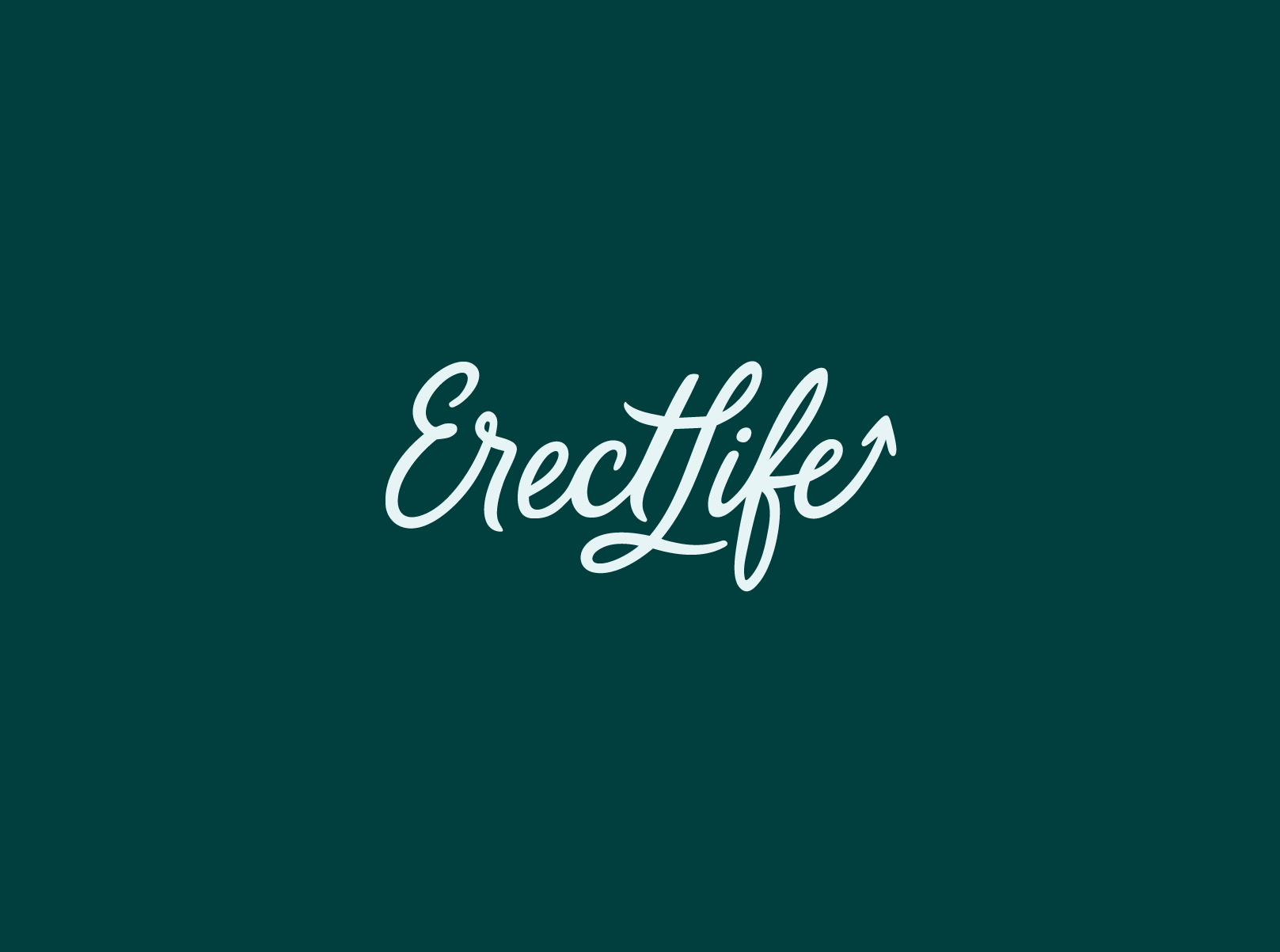 ErectLife branding clean customtype handlettering healthtech logo minimal smart typography wordmark