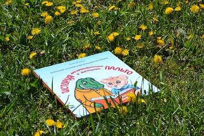 Illustrations and cover design for children's book art book character cover design drawing hand drawn illustration