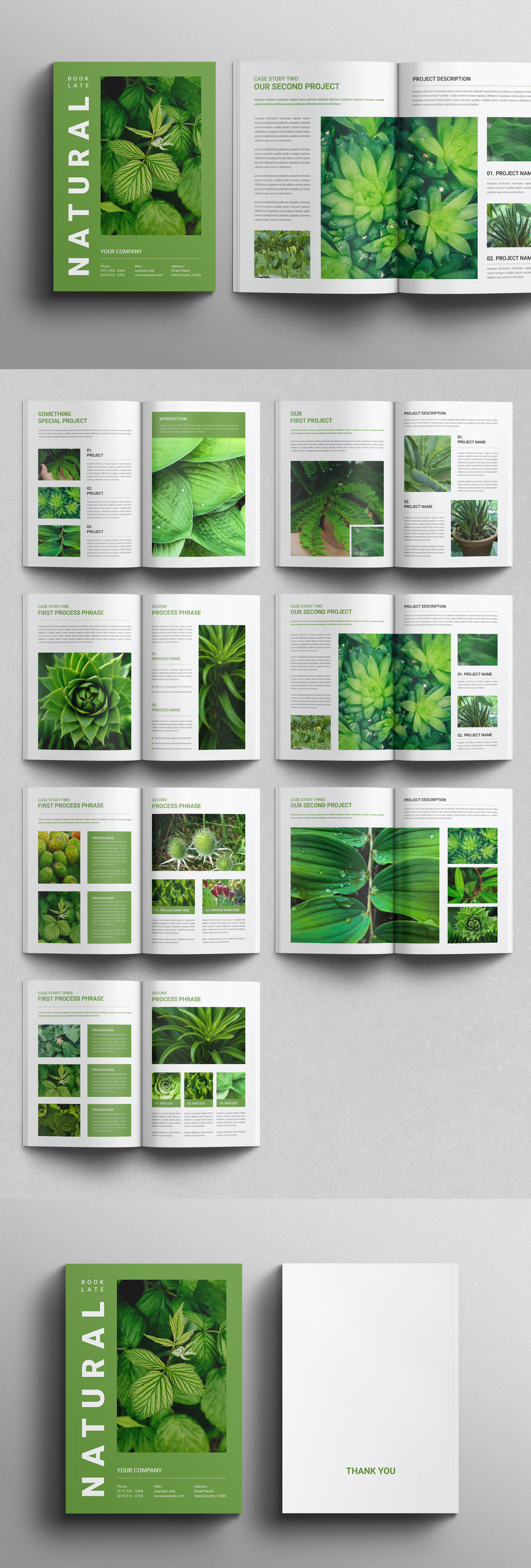 Natural Case Study Booklet Template template