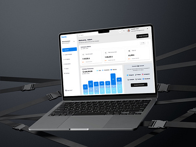 Raizle campaign dashboard figma graphic design uiux ux web design