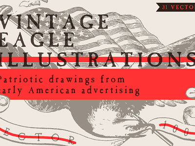 Vintage Eagle Illustrations Vector