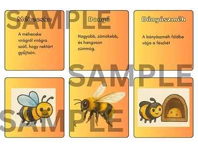 Flashcard bees canva educational flashcards hungarian informational