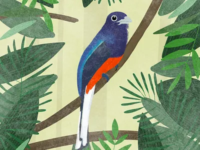 Trogon