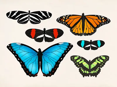 Butterflies of central america